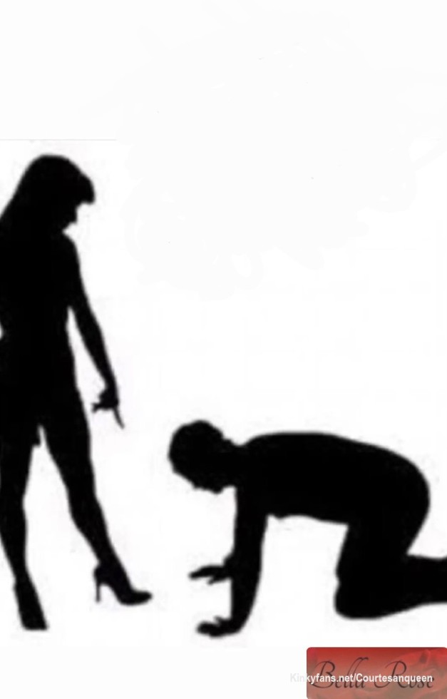 Money Goddess Bella Rose 🌹 #moneydom  #findom #goddess